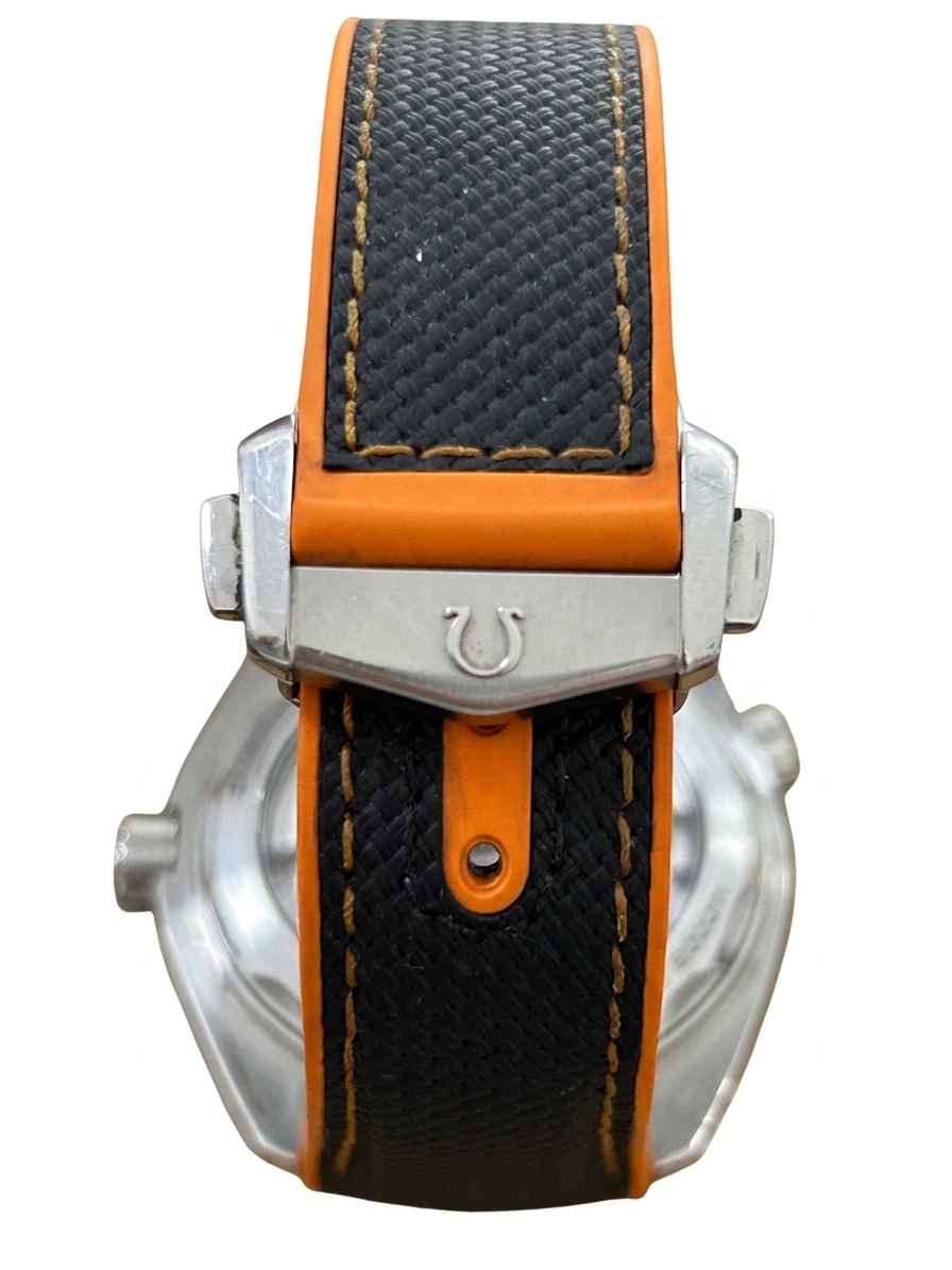 Omega Seamaster Planet Ocean