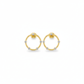 Pendientes de Plata Dorada