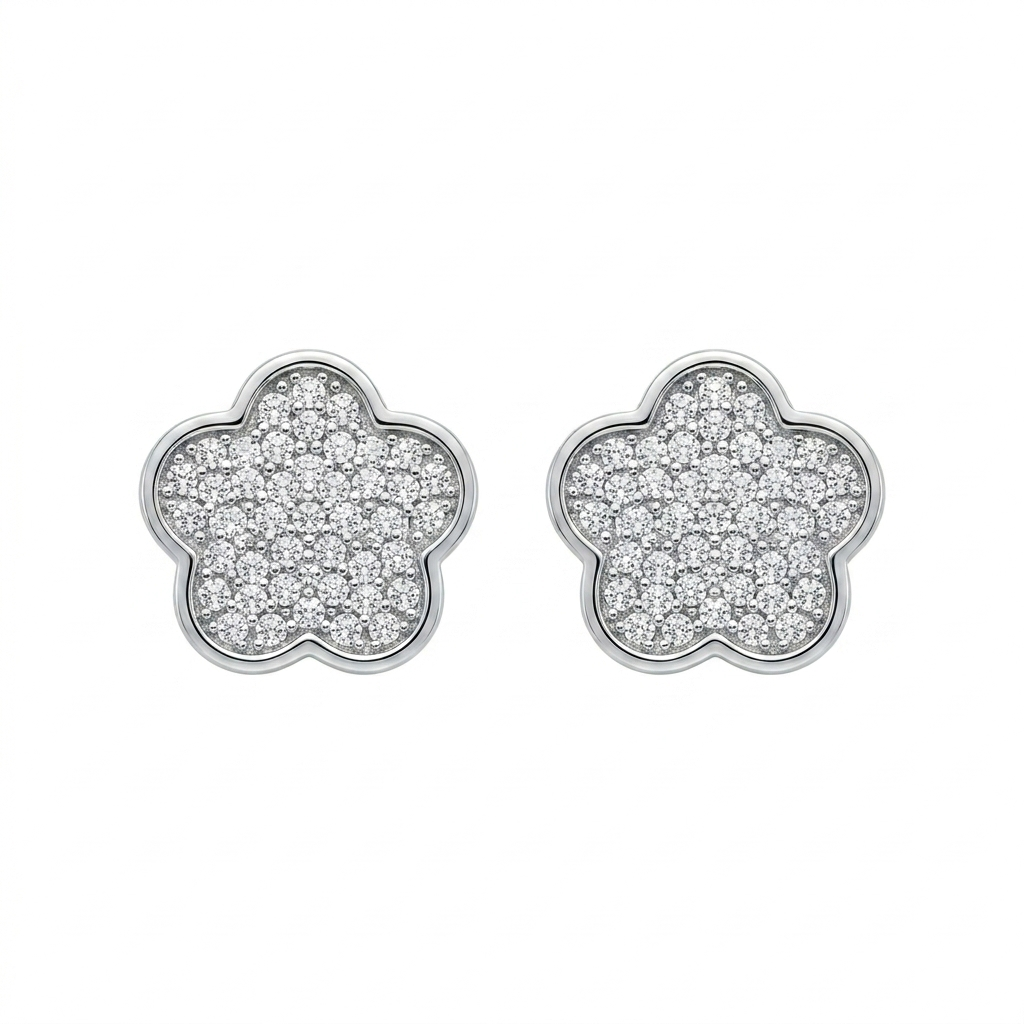 Pendientes de Plata