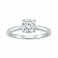 Sortija de Plata Brizzling