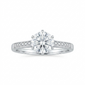 Sortija de Plata Brizzling