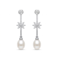 Pendientes de Plata
