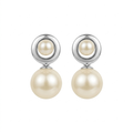 Pendientes de Plata Viceroy