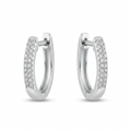 Pendientes de Plata Brizzling